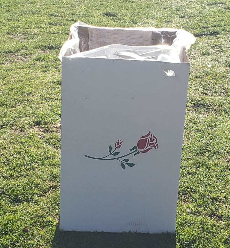 Rose Bowl stadium in California