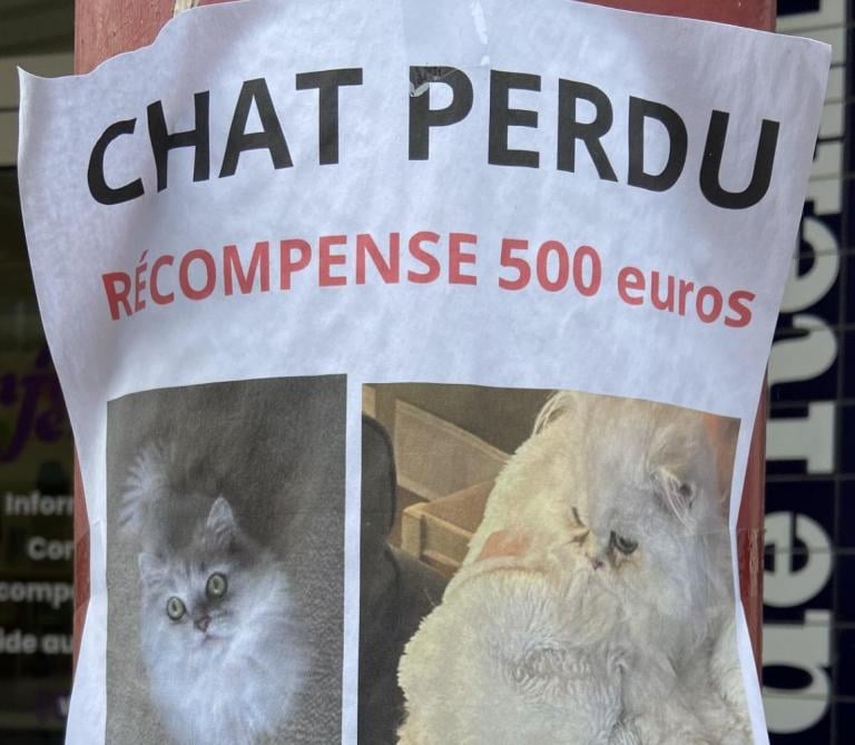 Je mets fin à la perte des animaux de compagnie , spécialement les chats.