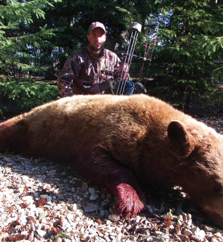 Saskatchewan black bear hunts - color phase black bear