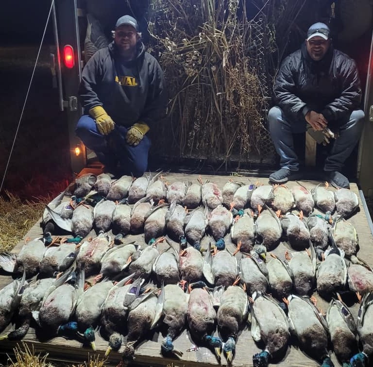 Saskatchewan waterfowl guides - Dillon and Chad with some evening ducks