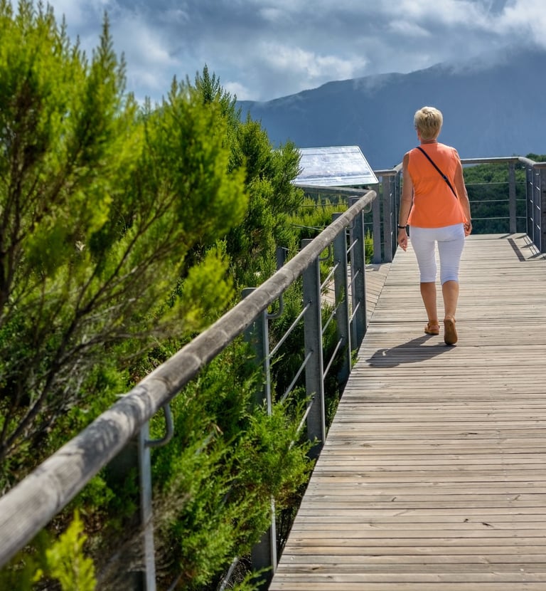 Mirador Juego de Bolas
