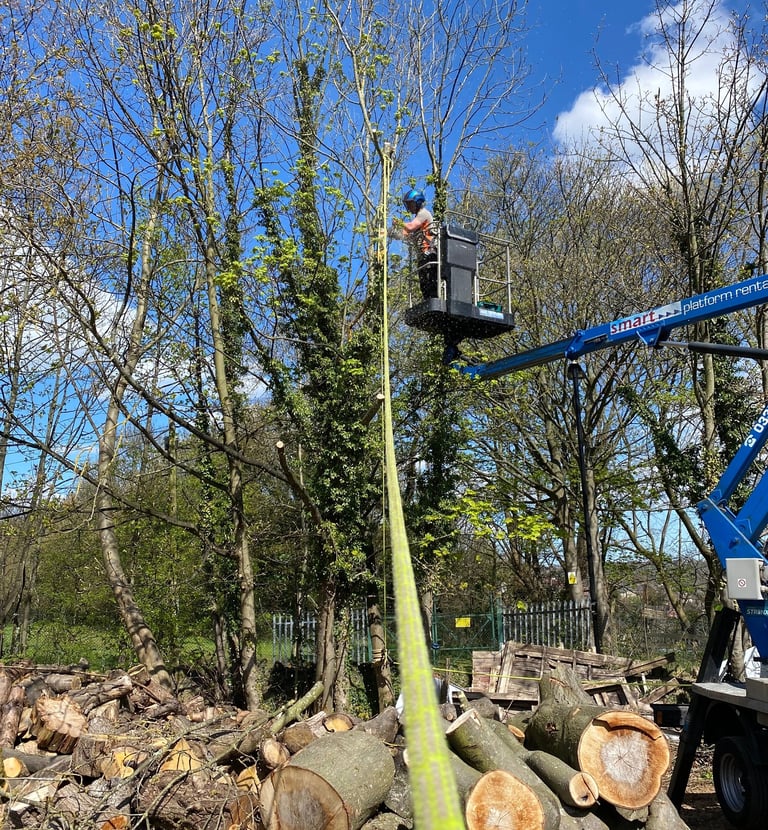 Chainsaw from MEWP