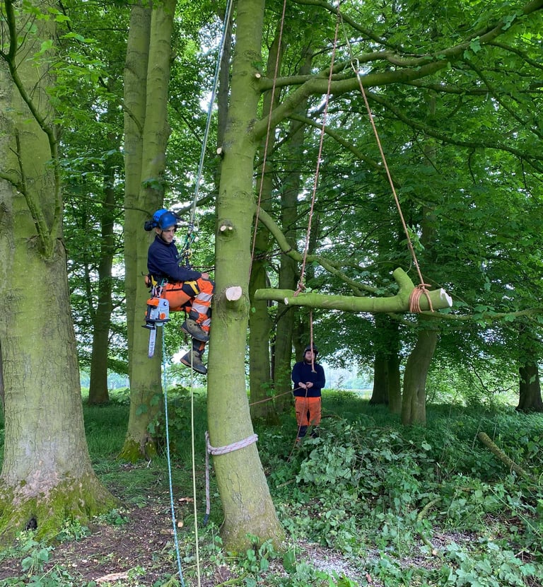Tree rigging cradle balance