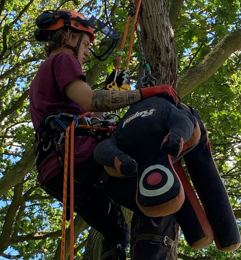 Tree Pole rescue