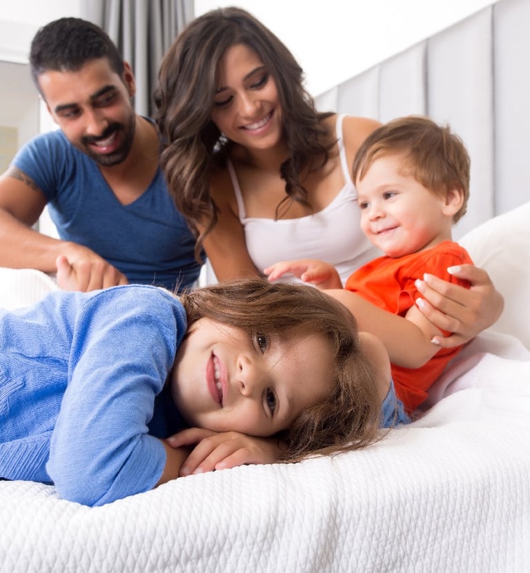 mold remediation family safe