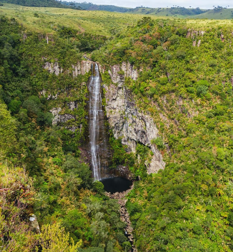 a waterfall in the middle of a lush green forest
