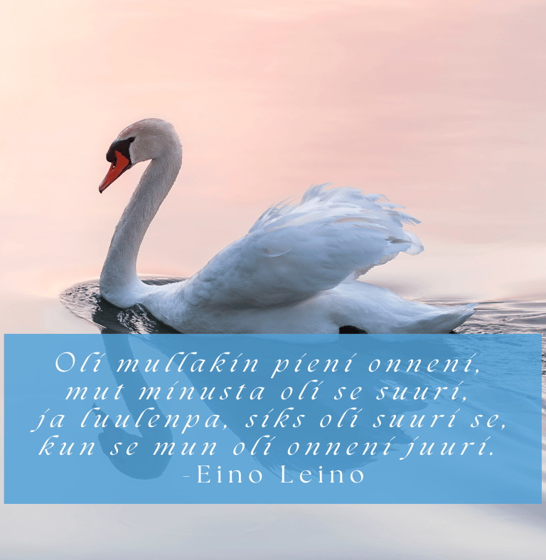 Onni - Paremman elämän puolesta blogi, psykoterapeutti Satu Aherto