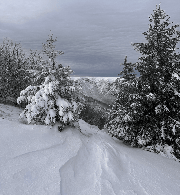 decors enneigé ambiance hivernale sommets vosgiens