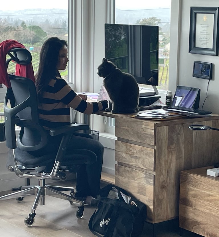 Pet sitter caring for your cat in your home with peace of mind. 