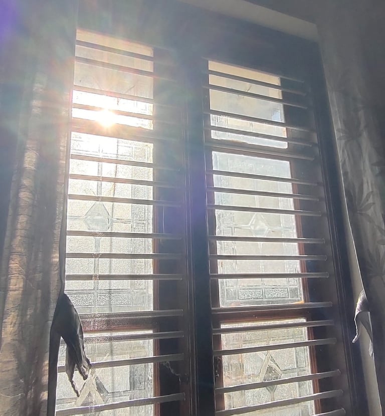 Wide shot of a spacious balcony secured with a sturdy mosquito net, sunlight filtering through the m