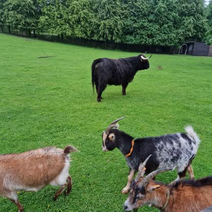 sortie scolaire à la ferme