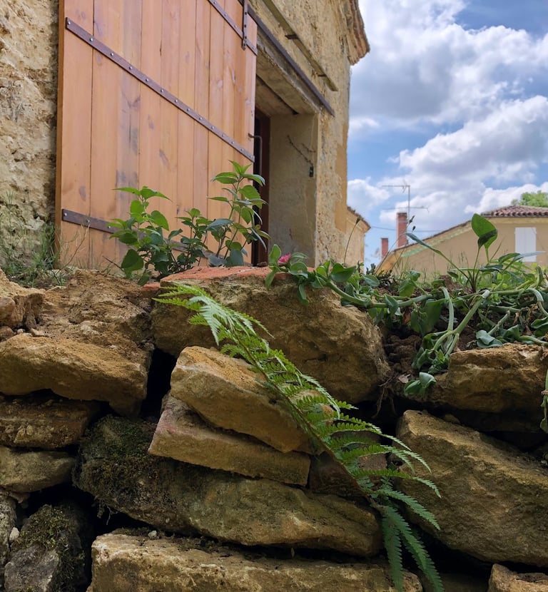 Ferme de Belon : Ferme de CBD avec atelier de transformation CBD,