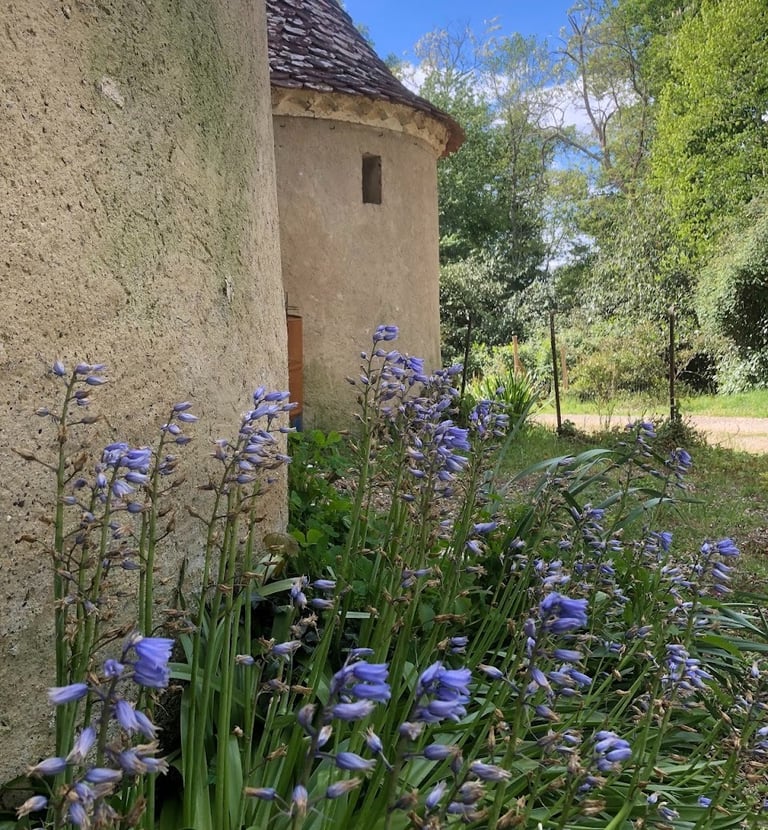 Ferme de Belon : Ferme de CBD nos deuxtour