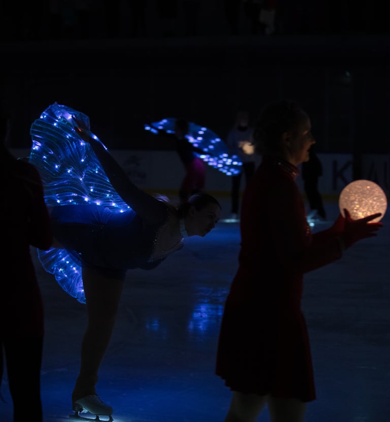 Adult figure skaters skating program