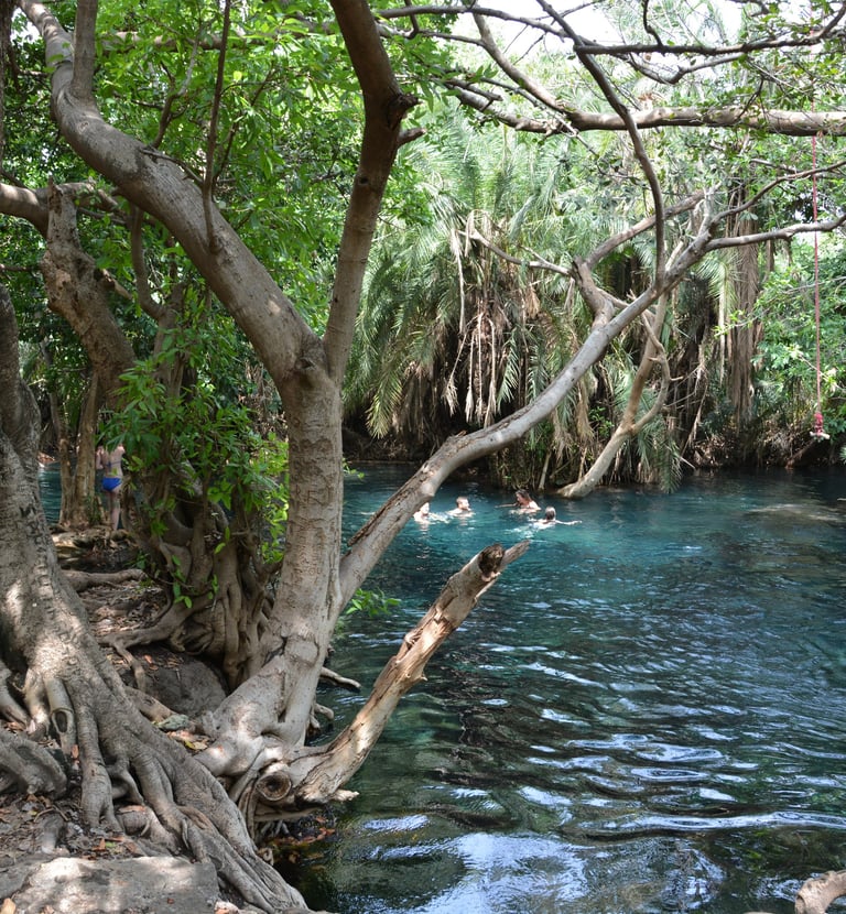 Chemka Hot Springs – kristallklares Wasser & entspannter Tagesausflug.