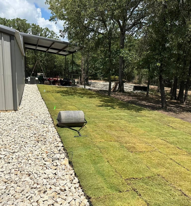 new sod put down and rolled