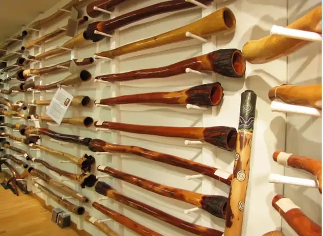 a wall of various designs of wooden didgeridoos