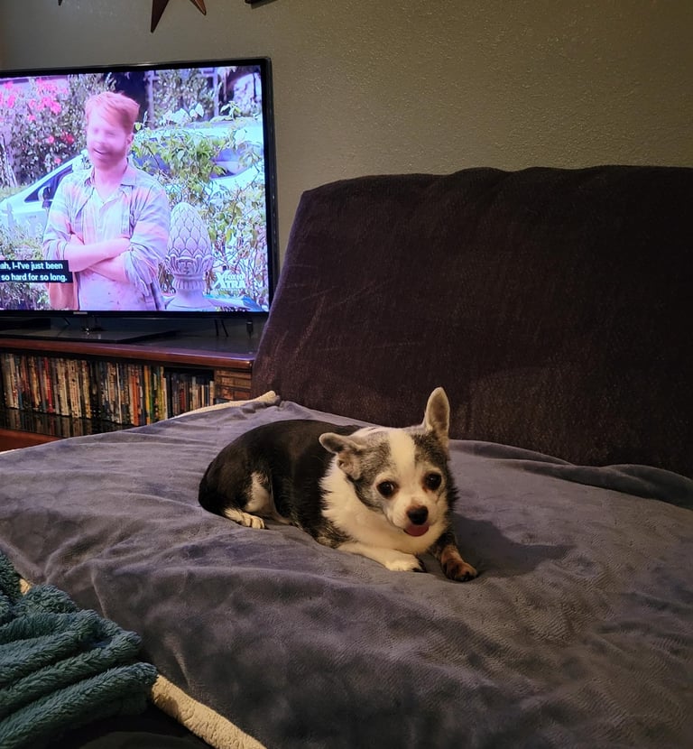 This is Neener. Doesnt care about anything--- except food.