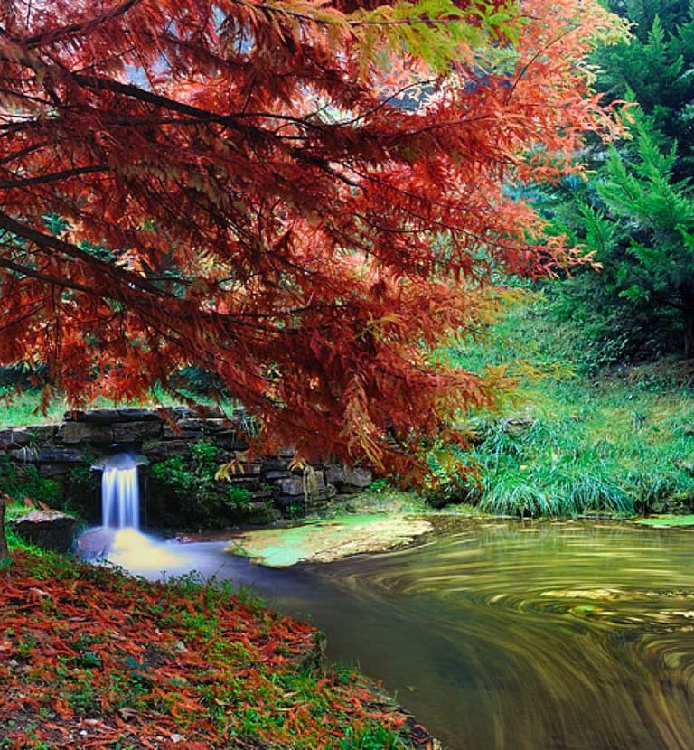 Orto Botanico delle Conifere di Ome