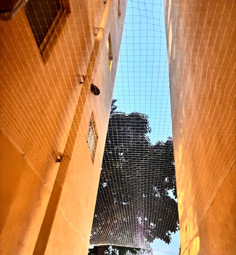 Transparent pigeon nets for apartment balcony in Goregaon Mumbai