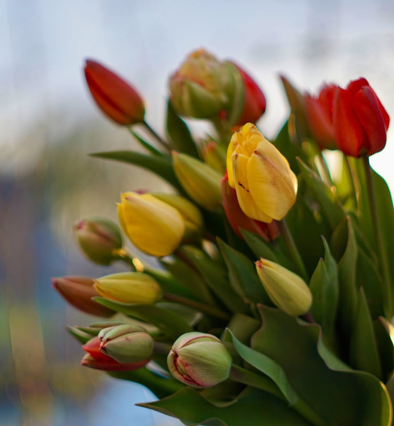 bouquet-fleurs-habay-la-vieilles-fleuriste