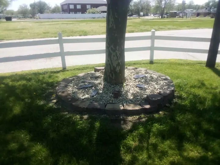 Tree trunk surrounded by a circular stone border and white landscape gravel in a grassy yard.