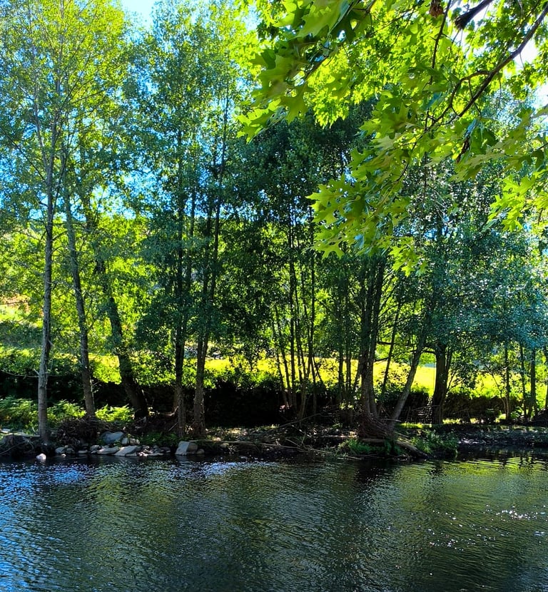 Rio Alva - Tour Oliveira do Hospital - Raiz Tours