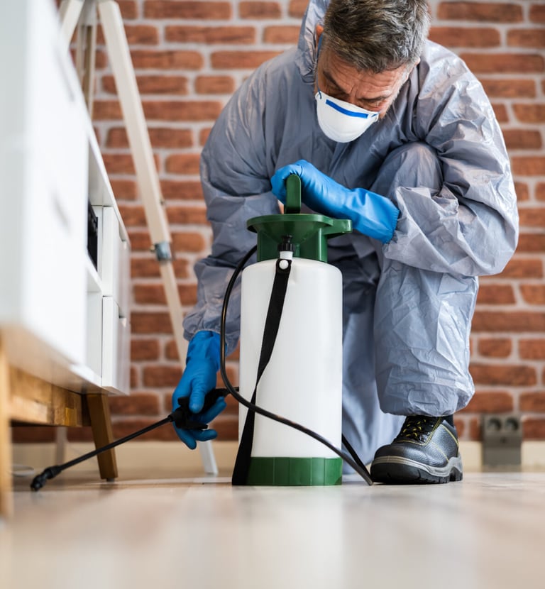 professional termite control service