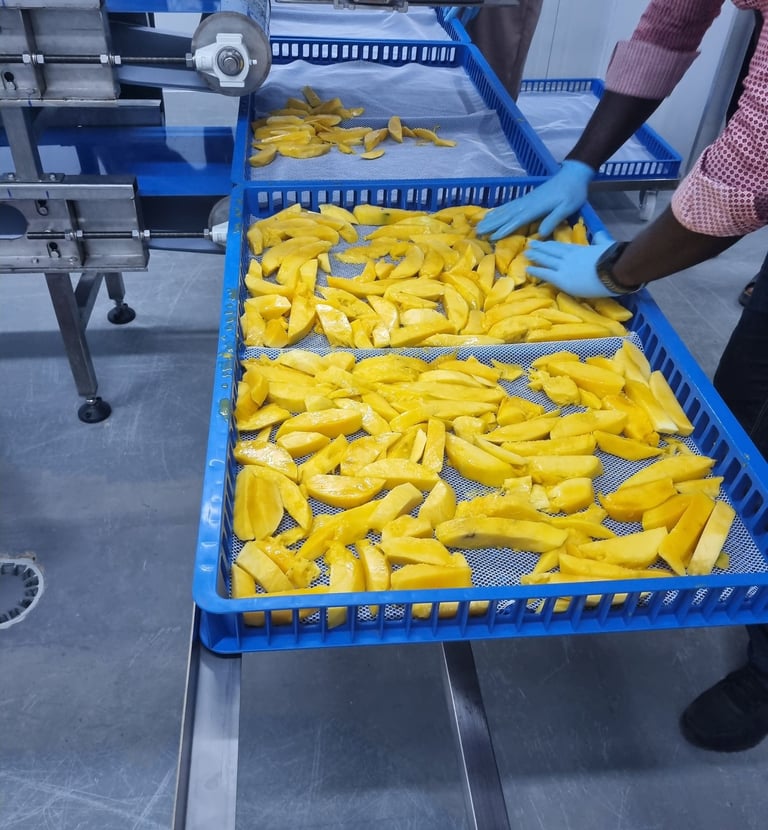 Mangos before drying in a dryer