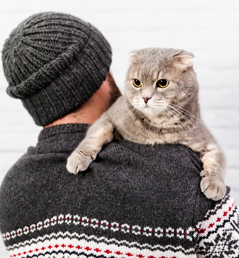 Professional cat pet sitters in Lynnwood, with custom care for your cats needs