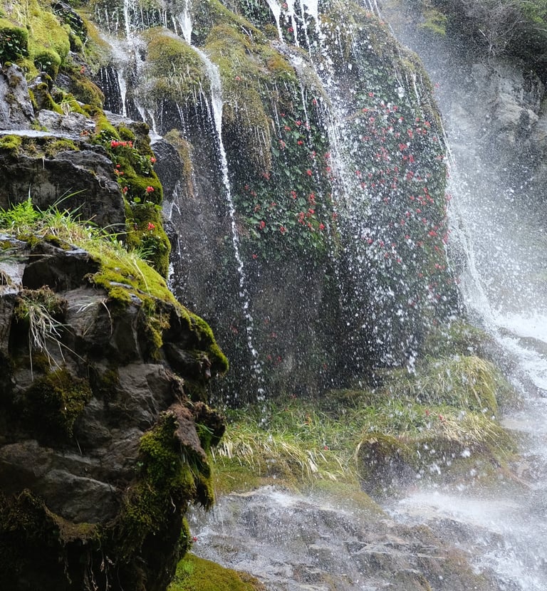 Route 23 Drive, Views in Patagonia Argentina, Waterfall View Patagonia