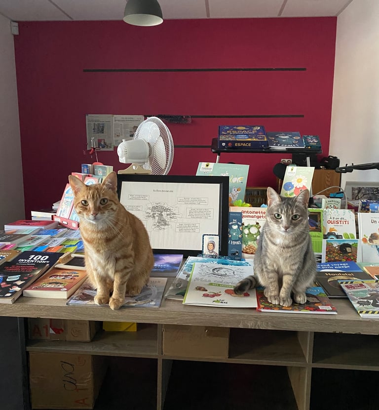 Tigrou le Roux et Tania la grise sauront vous guider dans vos choix