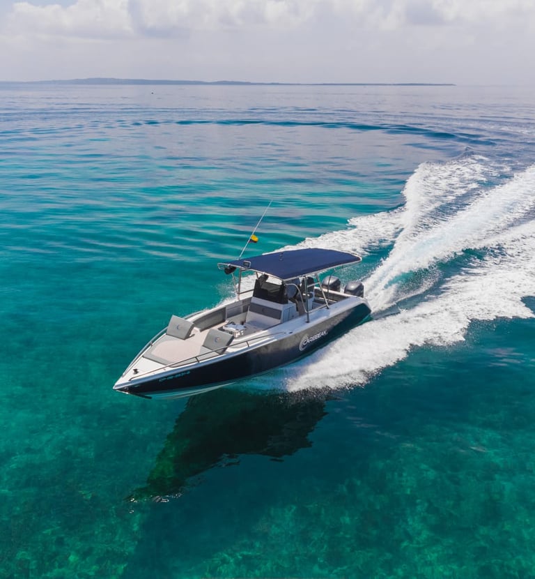 Alquiler de lancha de lujo en cartagena, lancha de lujo para 14 personaas