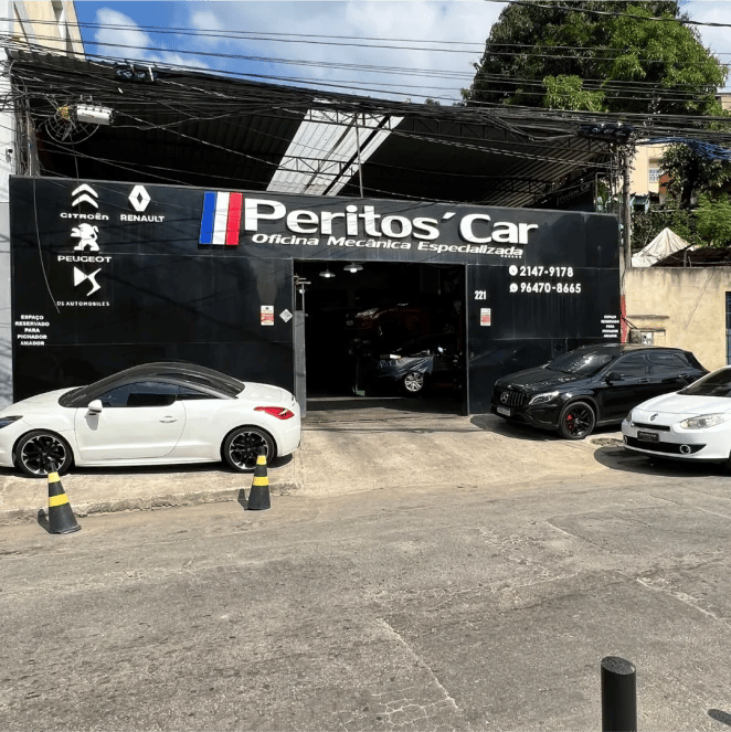 Oficina Especializada Citroën e DS