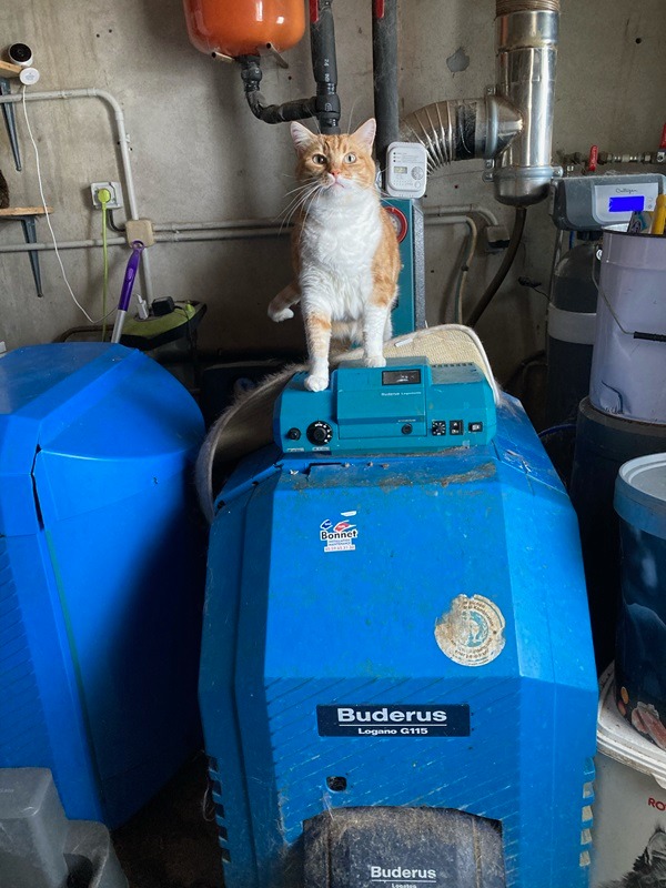 Un chat assis sur une chaudière à Bérenx