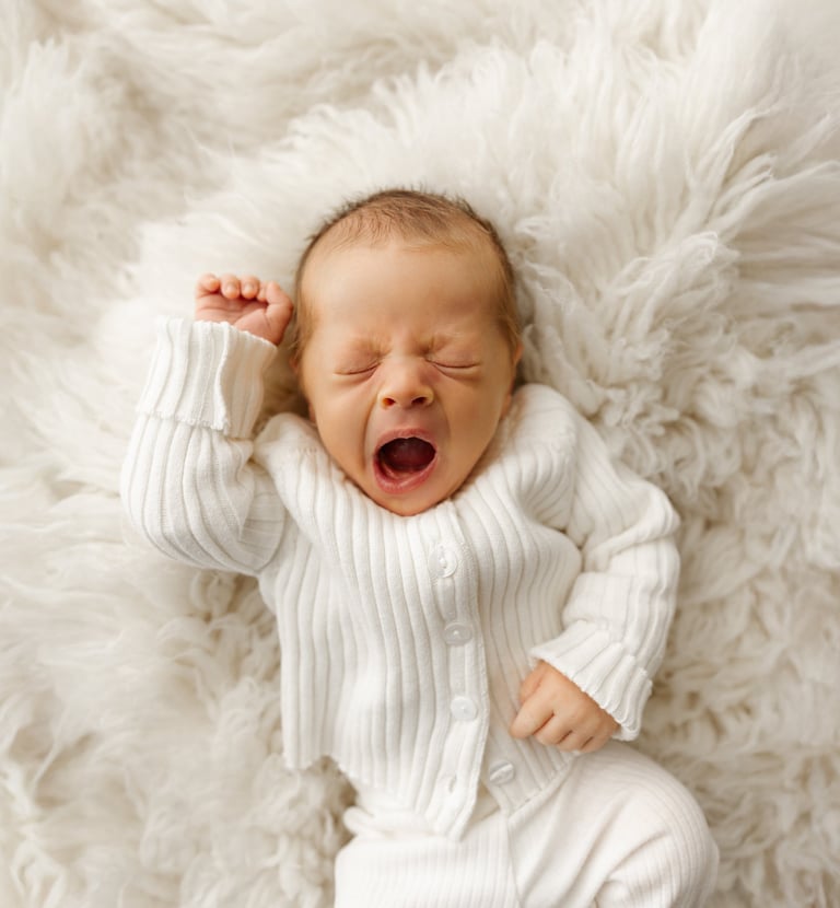 newborn photographer Minneapolis