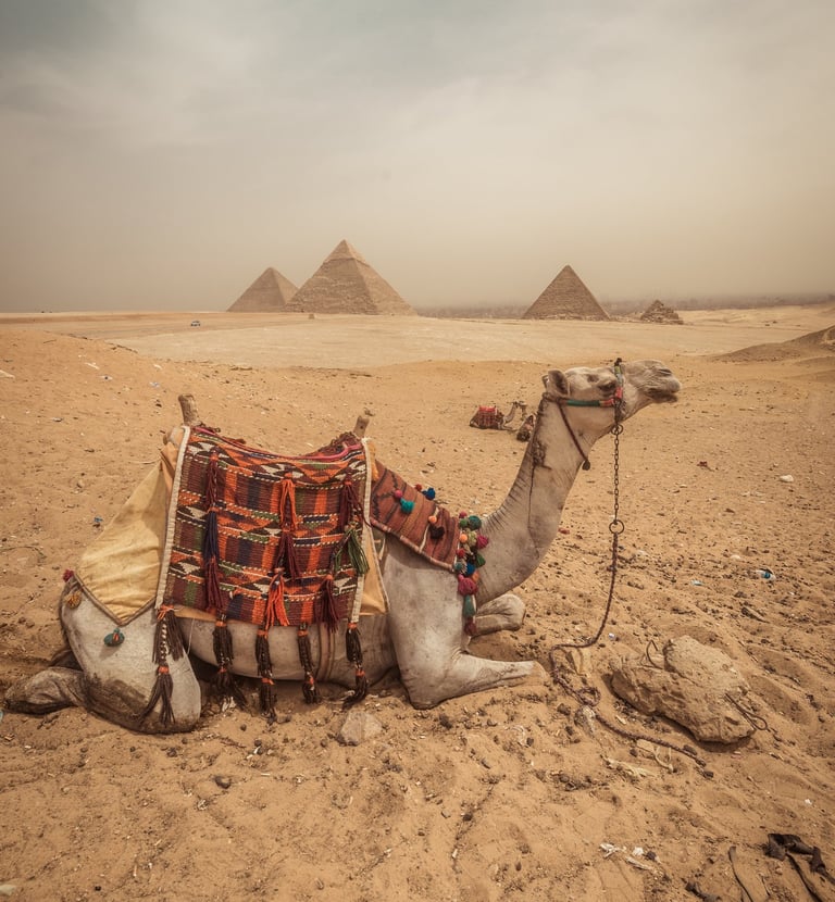Découvrir les excursions au Caire