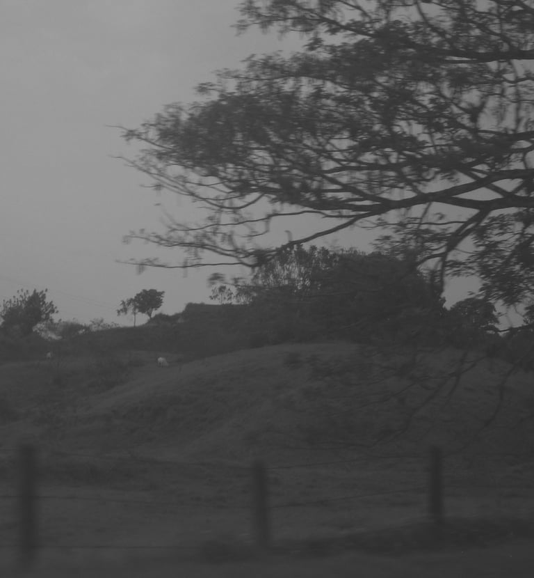 Paisaje rural melancólico en blanco y negro con colinas y árboles.