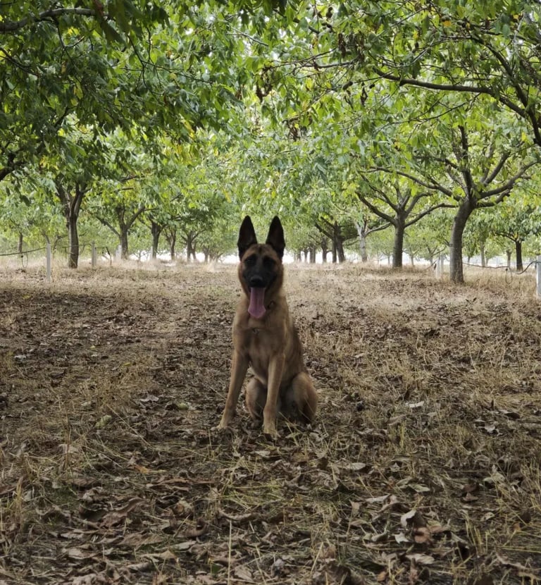 Ares pozira za fotografiju