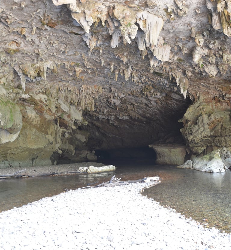 Cave entrance/ the breath taken view/ jaguar paw cave and jungle expedition