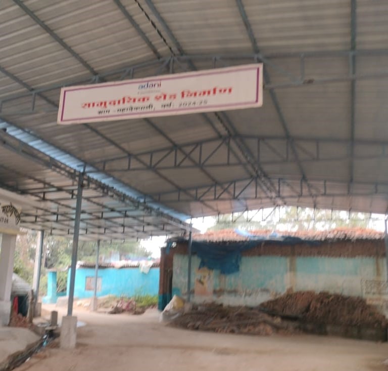 image of tin shad