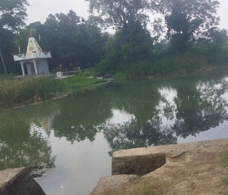 pond