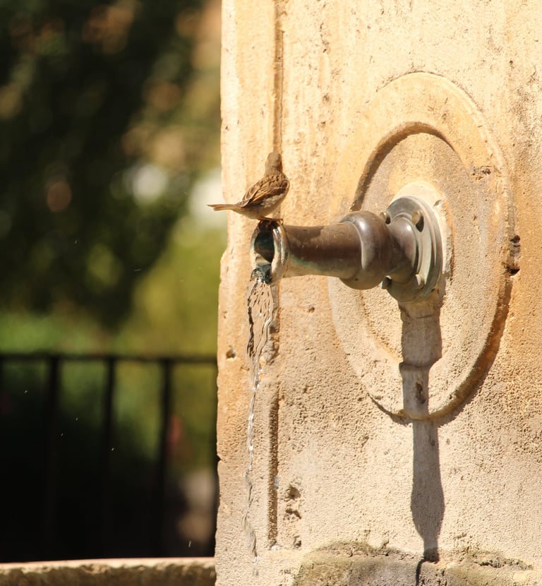 Fuente de La Glorieta en Alcocer