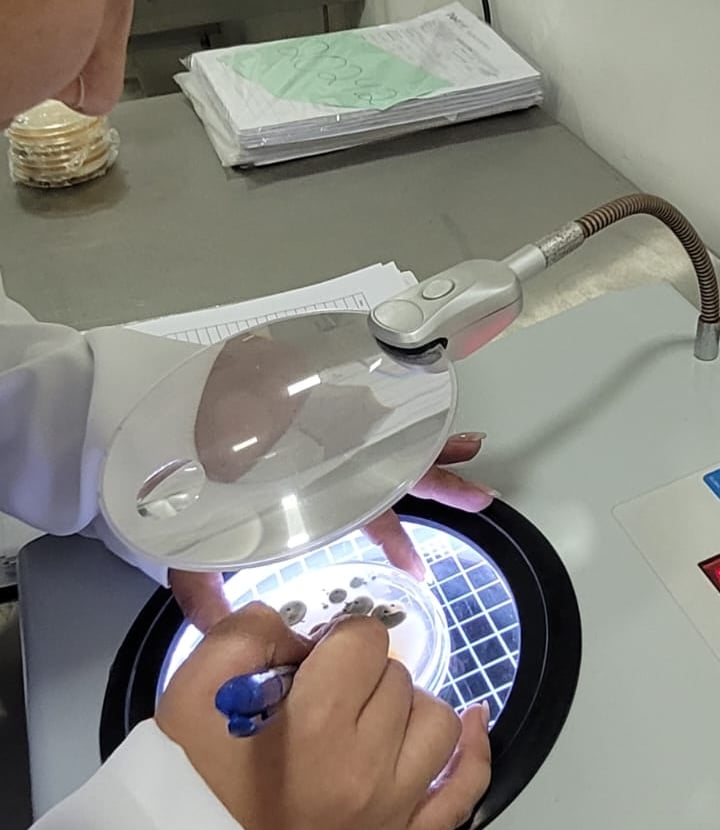 Profissionais do Laboratório AMB realizando análises laboratoriais em ambiente técnico equipado