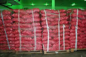 exporter of Onion