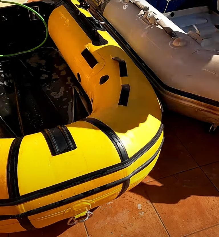 Limpieza de neumáticas zodiac