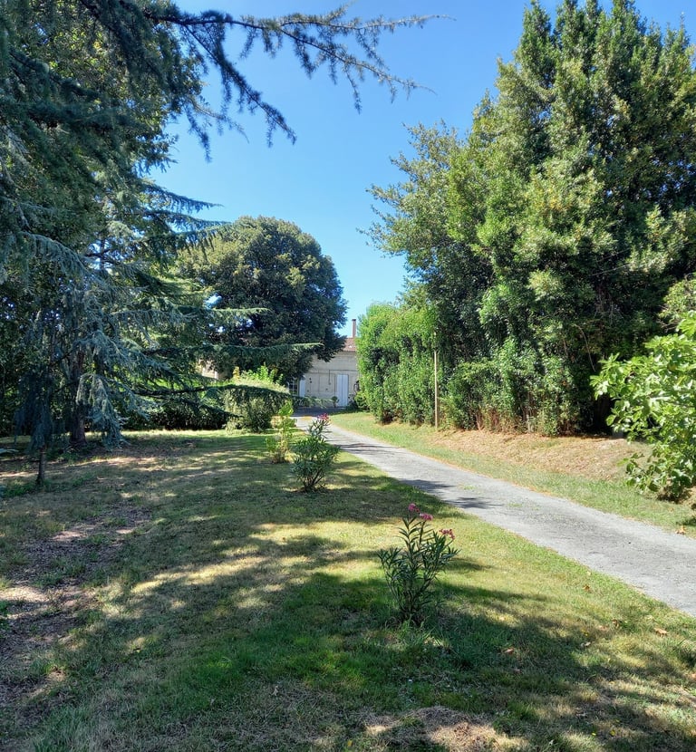 France-South-West-Gironde-Pompignac-Property for sale-garden4