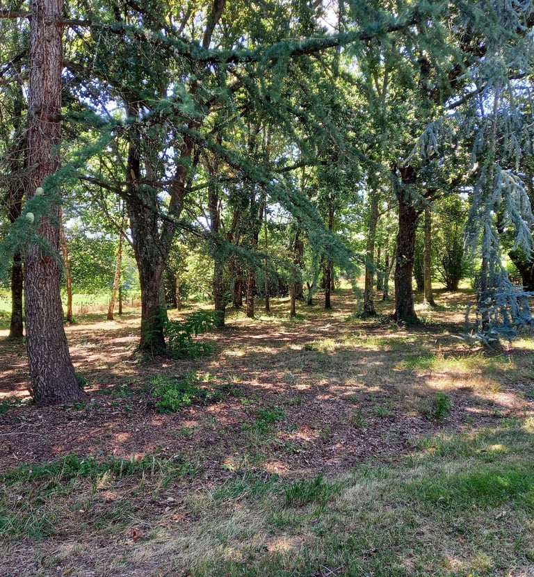 France-South-West-Gironde-Pompignac-Property for sale-garden7