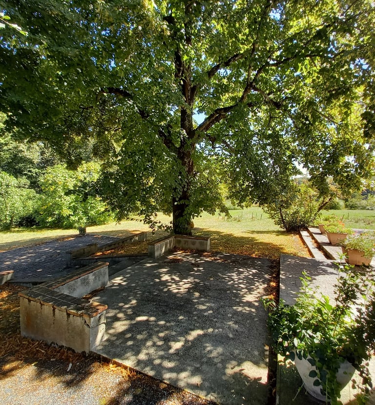 France-South-West-Gironde-Pompignac-Property for sale-garden12
