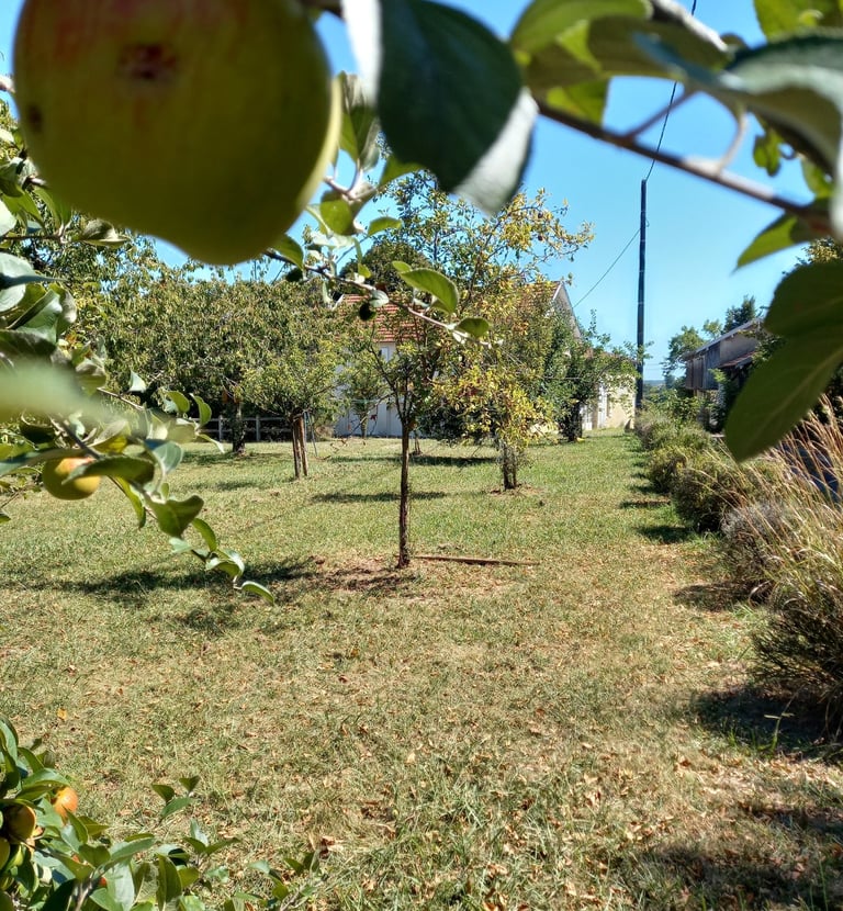 France-South-West-Gironde-Pompignac-Property for sale-garden11